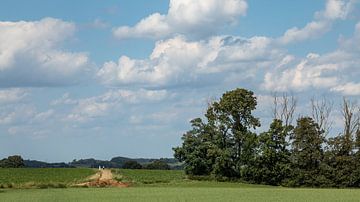 Heuvelland Zuid-Limburg, glooiend lieflijk landschap, vakantieland in Nederland. van Marjolein Zijlstra