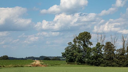 Heuvelland Zuid-Limburg, glooiend lieflijk landschap, vakantieland in Nederland.