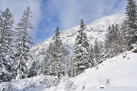 Alpine winter landscape with snow-covered trees by Tomherkules