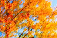 Golden October