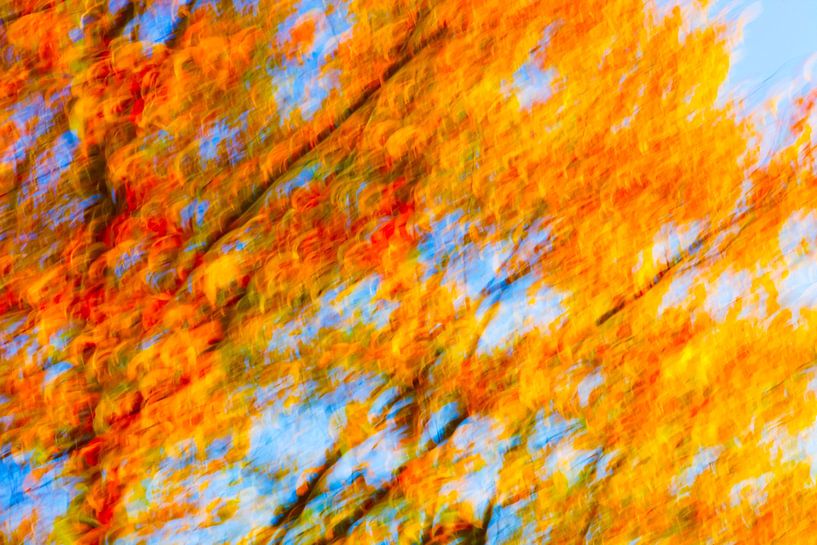 Golden October by Thomas Jäger