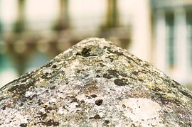 Stein Nahaufnahme Makro von Agnes Meijer