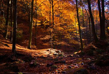 Autumn landscape von Jeroen Maas