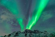 Noorderlicht of Aurora Borealis over de besneeuwde bergen in de winter van Sjoerd van der Wal Fotografie thumbnail