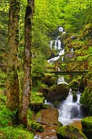 HET LIED VAN DE WATERVAL