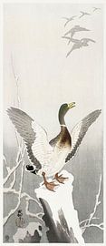Duck on snowy tree stump (1900 - 1910) by Ohara Koson van Studio POPPY