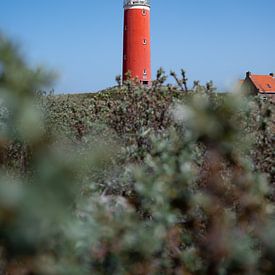 Red Lighthouse on Texel, Netherlands by Elles van der Veen