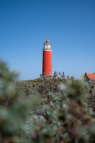 Roter Leuchtturm auf Texel, die Niederlande
