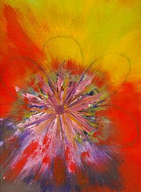 Explosion of colours in flower form by Nelleke Bruno