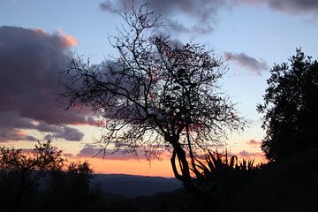 Zonsondergang in Andalusië. van Jan Katuin