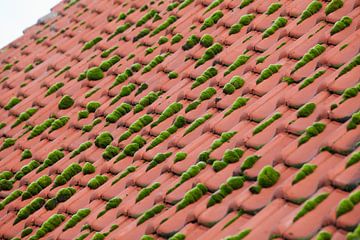 Groen mos op rood dak. by Rens Kromhout