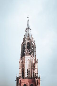 Nieuwe kerk in Delft van Teun de Leede