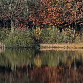 Automne, reflet abstrait dans Overasseltse en Hatertse Vennen sur Patrick Verhoef