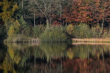 Autumn, abstract reflection in Overasseltse en Hatertse Vennen by Patrick Verhoef