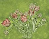 Zacht rode en roze tulpen in lente groen van Susan Hol thumbnail