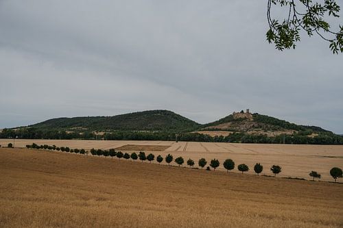 Explore the castle trail, surrounded by cereal fields and mountains.