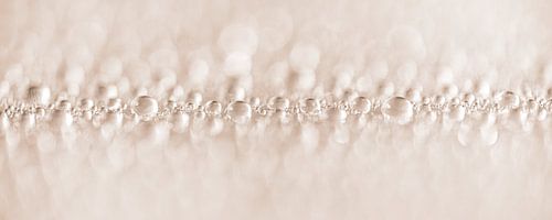 Panorama de gouttelettes d'eau dans des tons pastel doux sur Marjolijn van den Berg