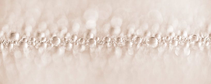 Panorama of water droplets is soft pastel shades by Marjolijn van den Berg