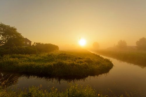 Foggy landscape