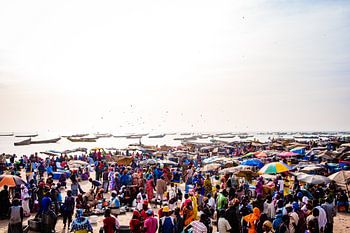 Fischmarkt M'bour Senegal