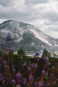 A mountain in Norway