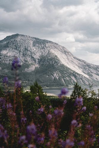 Een berg in Noorwegen van Jens de Goffau