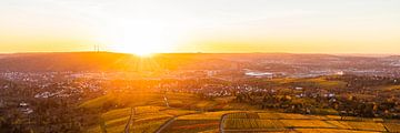 Panorama des vignobles de Stuttgart au coucher du soleil sur Werner Dieterich