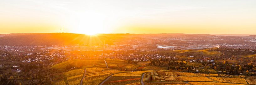 Panorama des vignobles de Stuttgart au coucher du soleil par Werner Dieterich