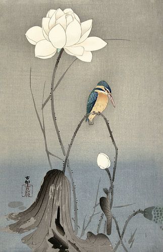 Kingfisher in an adaptation of today by Affect Fotografie
