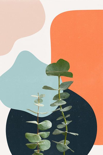 Eucalyptus Soft Abstract Shapes by MDRN HOME