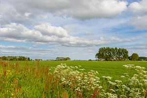 Nederlands lente landschap von Sjoerd van der Wal Fotografie