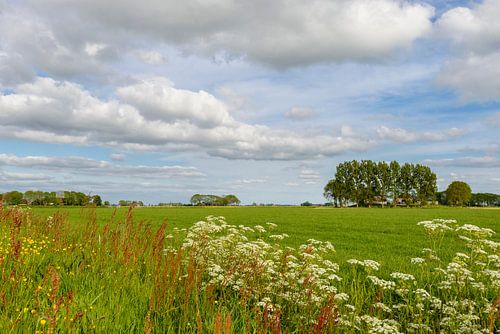 Nederlands lente landschap