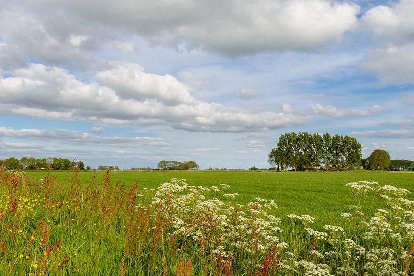 Nederlands lente landschap par Sjoerd van der Wal Photographie