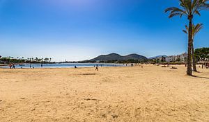 Plage de Platja de Alcudia sur l'île de Majorque