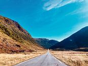 The road to the fjords in Norway by Studio Hinte thumbnail