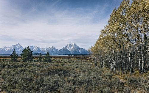 Valley landscape in America