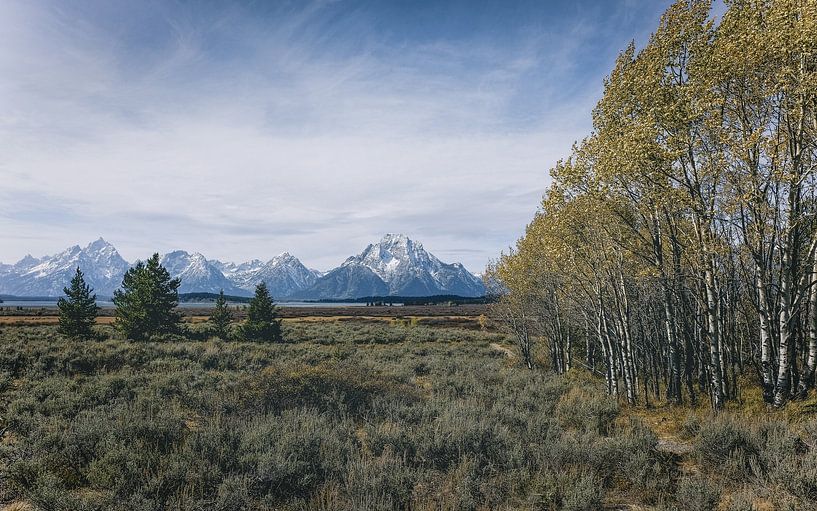 Vallei landschap in Amerika van frankiegoeswith -