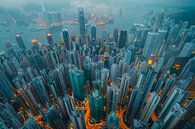 aerial photography over city and country by Egon Zitter thumbnail
