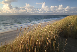Ozeanblick im Wind – Maritime Weite & Sehnsucht – Fotografie von Nordlicht Atelier