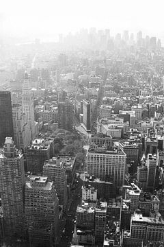 Manhattan gezien van Empire State Building zwart-wit