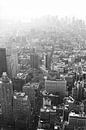 Manhattan gezien van Empire State Building zwart-wit von David Berkhoff Miniaturansicht