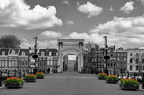 Tulpen bij de Magere brug in Amsterdam