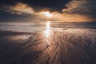 The Zeeland coast by Ton Drijfhamer thumbnail