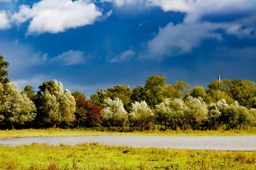 Painterly  Beauty of the Waters at the Blue Room