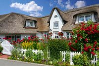 Amrum - Friese woning met prachtige bloementuin