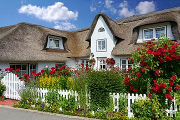 Amrum - thatched house with beautiful flower garden by Reiner Würz / RWFotoArt