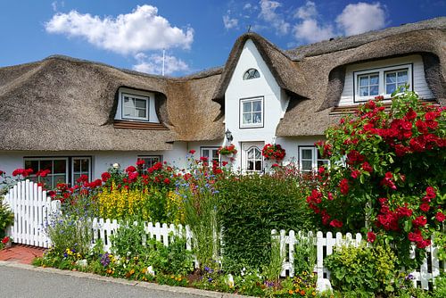 Amrum - Friese woning met prachtige bloementuin