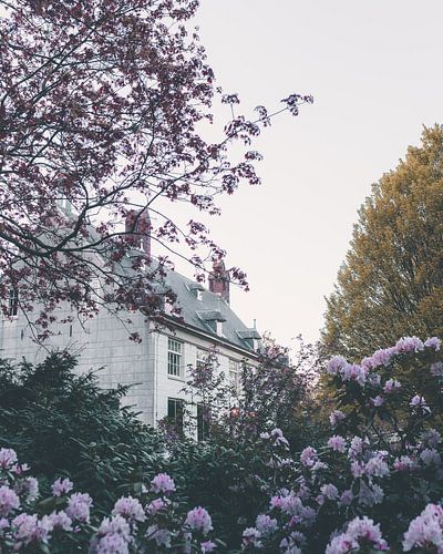 Fairytale house among flowers