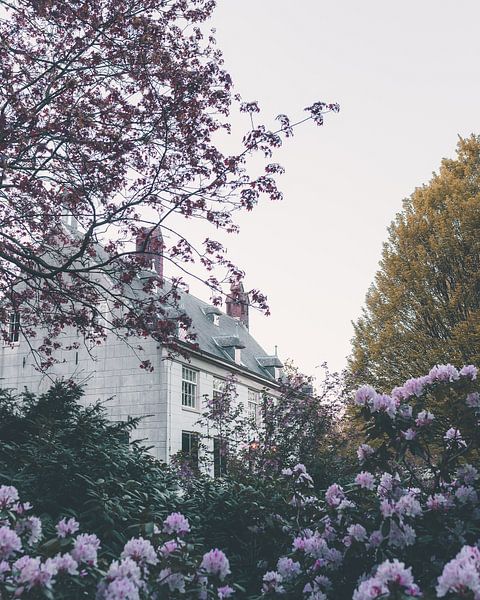 Märchenhaus zwischen Blumen von Mick van Hesteren