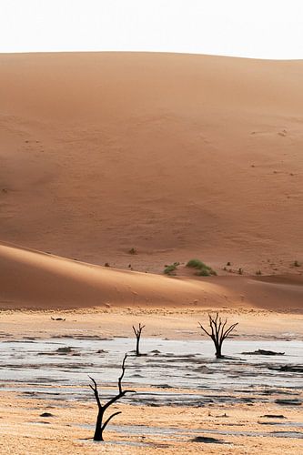 Deadvlei | Namibia, Sossusvlei